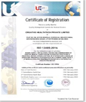 CE ISO 13485